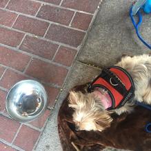 Meat & Cheese restaurant view 1