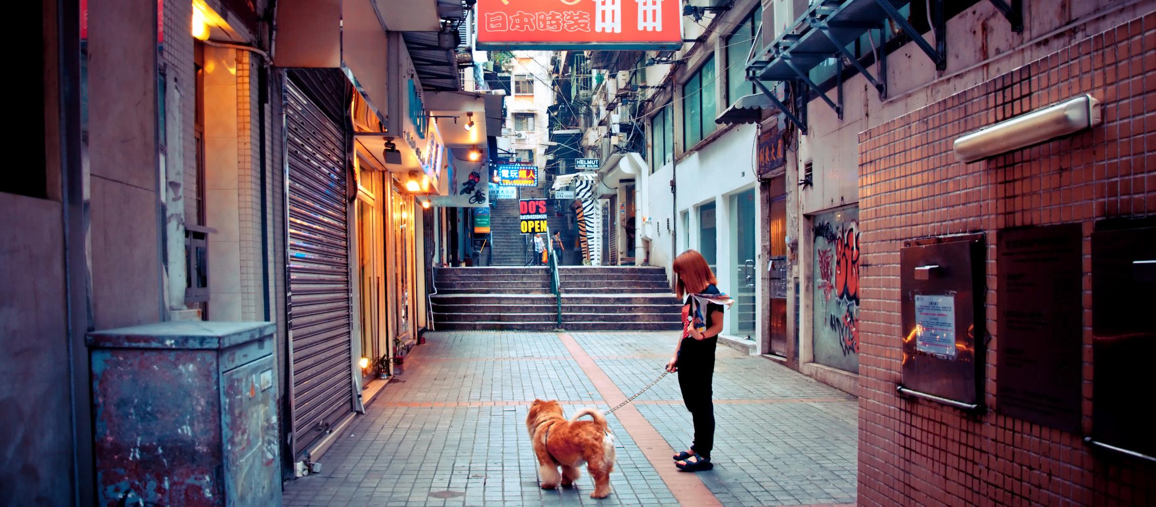 Dog Friendly Macao