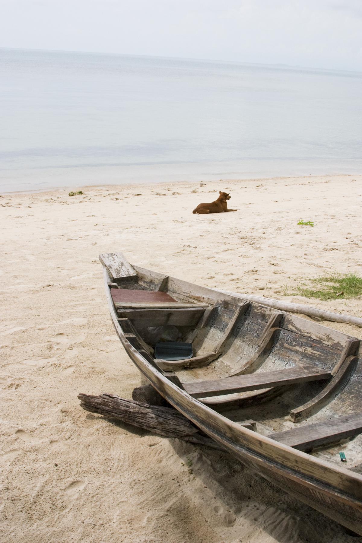 Boat on a Beach with Dog