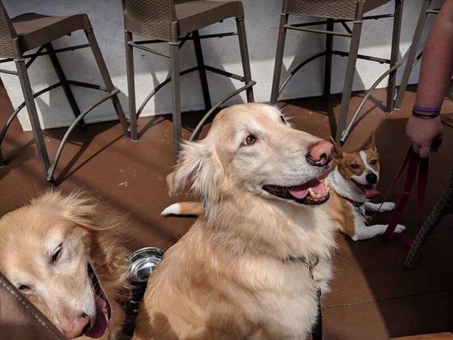 Patio is perfect!