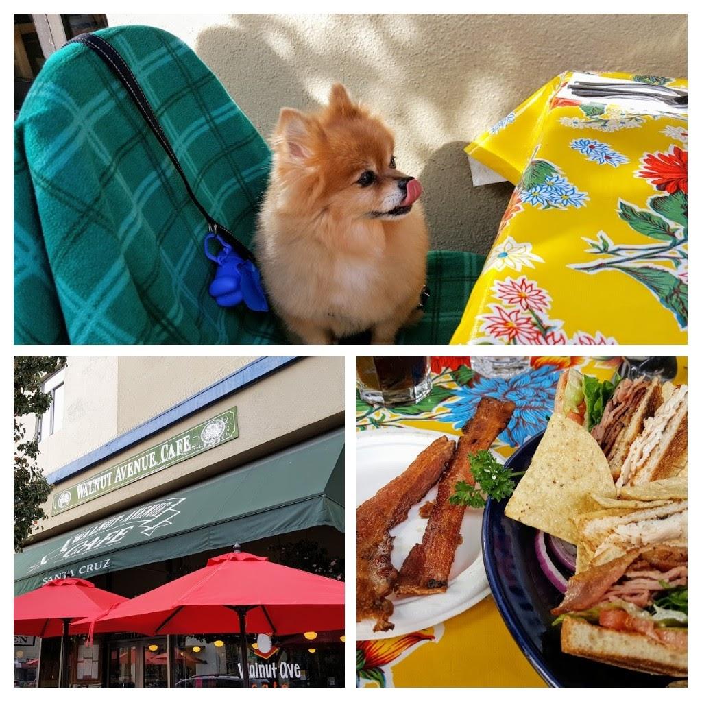 Walnut Ave Cafe restaurant view 8