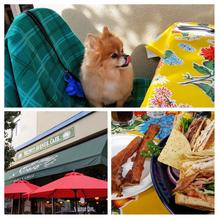 Walnut Ave Cafe restaurant view 8