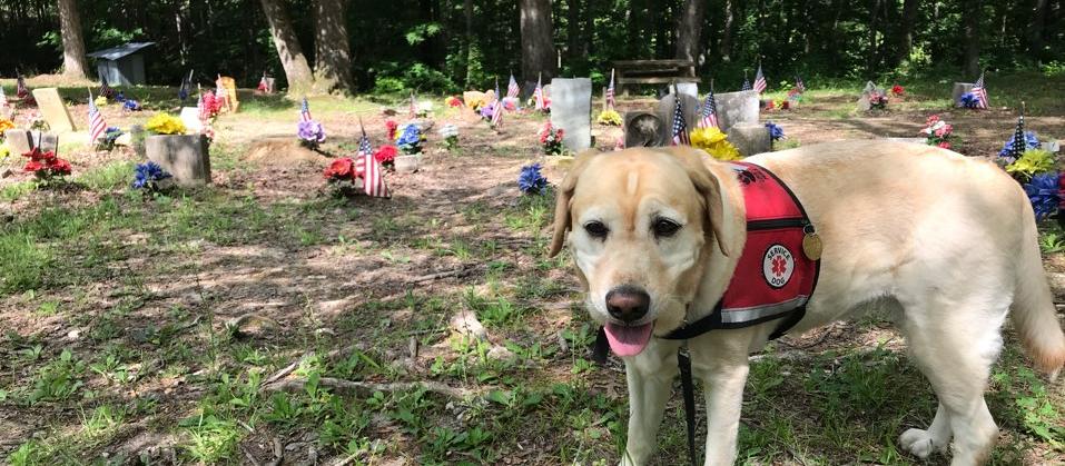 Dog Friendly Tuscumbia, AL