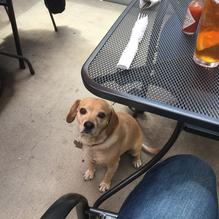 The Service Station restaurant view 3