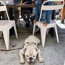 Neptune's restaurant view 1