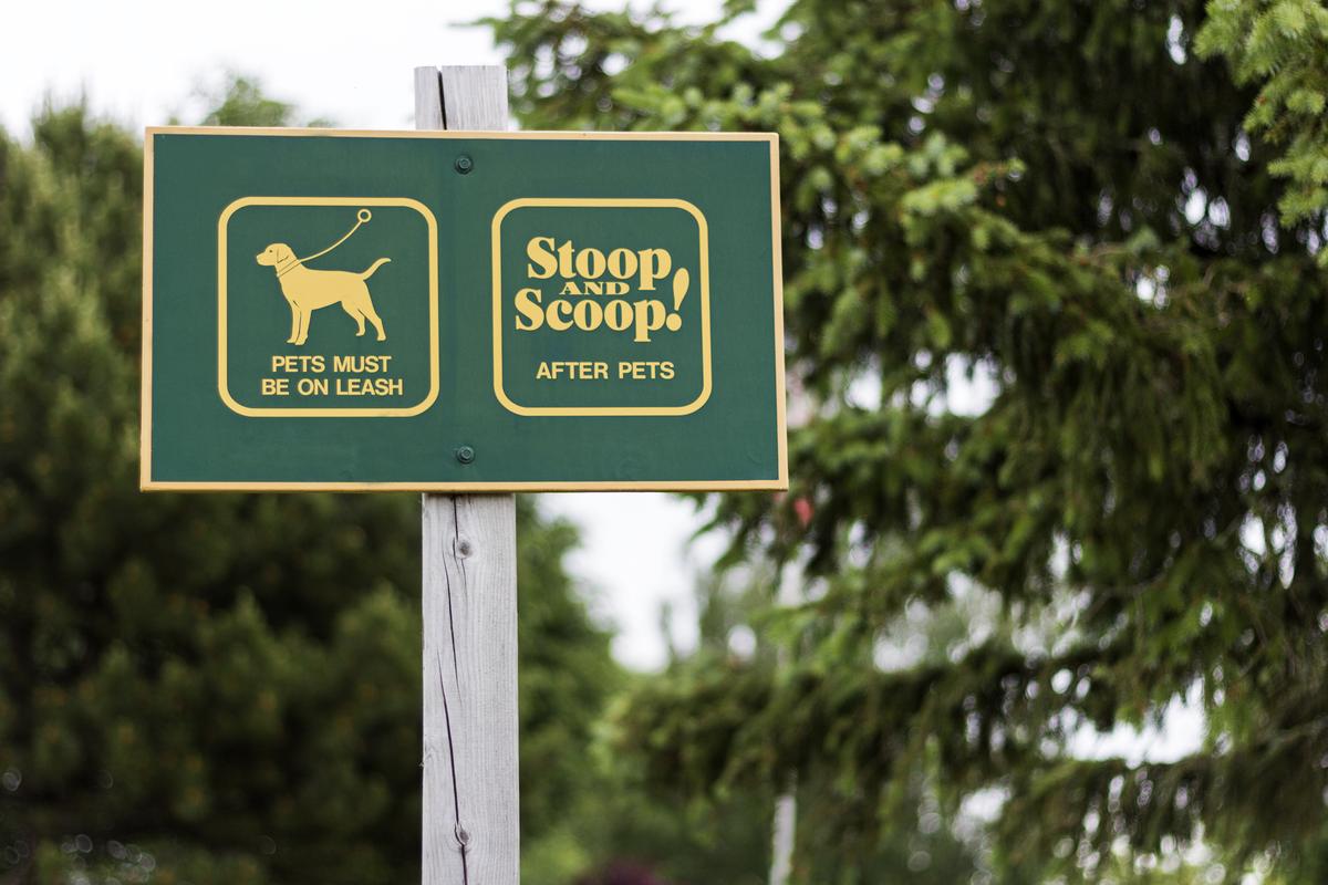 Sign in a Park for Dog Walkers