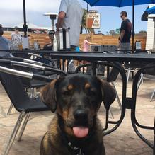 Beachside Bar and Grill restaurant view 2