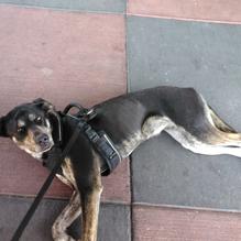 Smokey Bones restaurant view 1