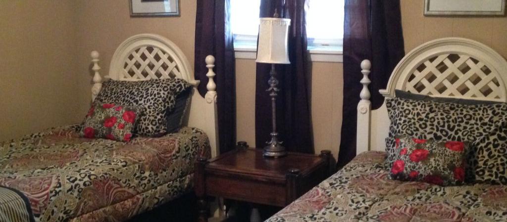 Dog Friendly Robbinsville, NC