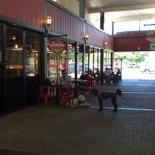 Cinders Wood Fired Pizza restaurant view 1