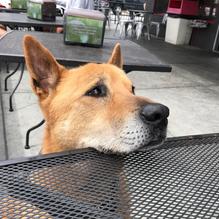 Betty Burgers restaurant view 2