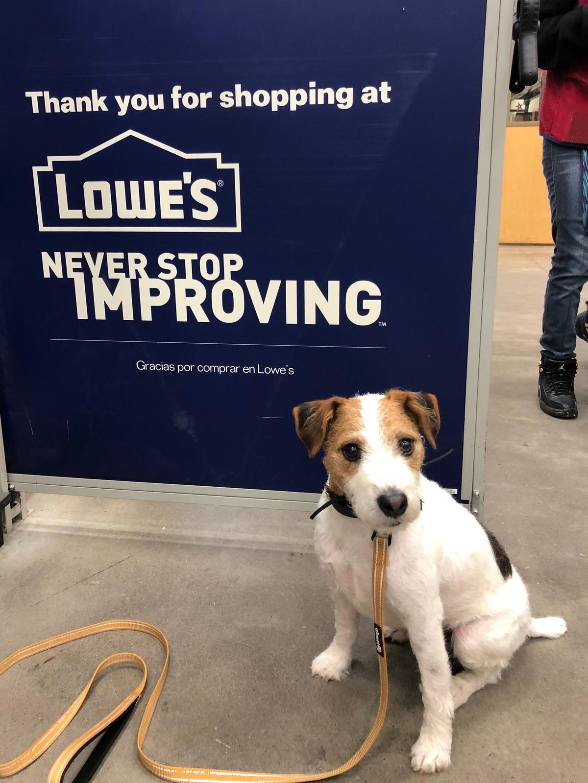 Not allowed @ Home Depot so.....
