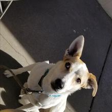 Seasons of Coeur d'Alene restaurant view 1