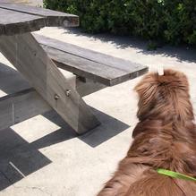 The Birds Cafe restaurant view 4