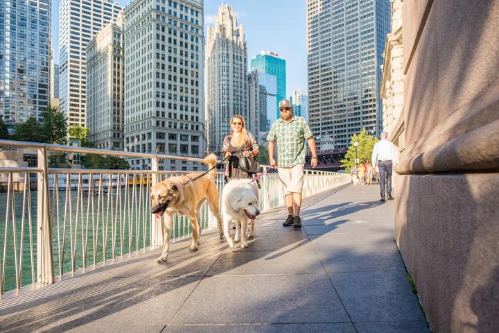 Pet Friendly Chicago Riverwalk