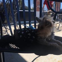 McAlister's Deli restaurant view 1