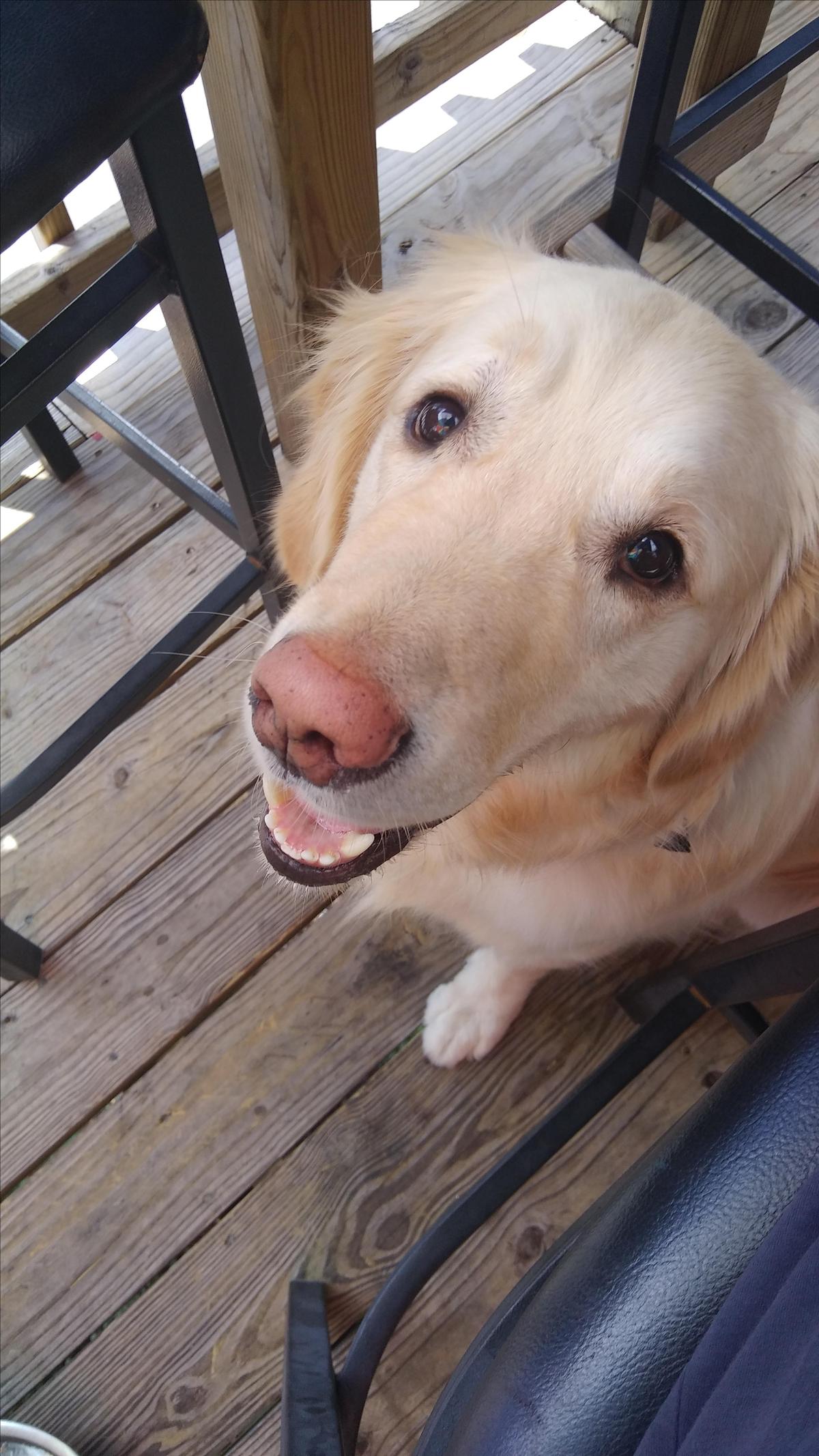 Clarence enjoying Shaggy's Gulfport Beach, MS