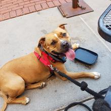 Pastabilities restaurant view 1