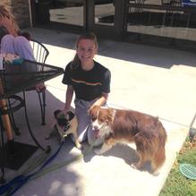 Joe On the Go Cafe restaurant view 1