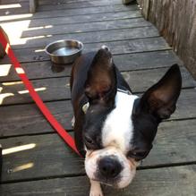 Flatbread Company restaurant view 6