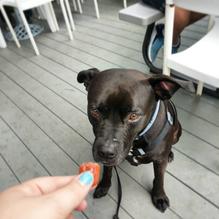 Red's Eats restaurant view 2