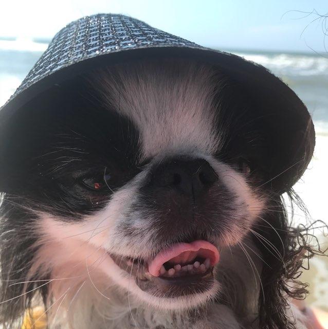 beach Bumb