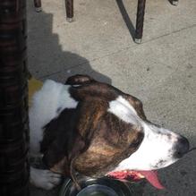 Granite City Food & Brewery restaurant view 9