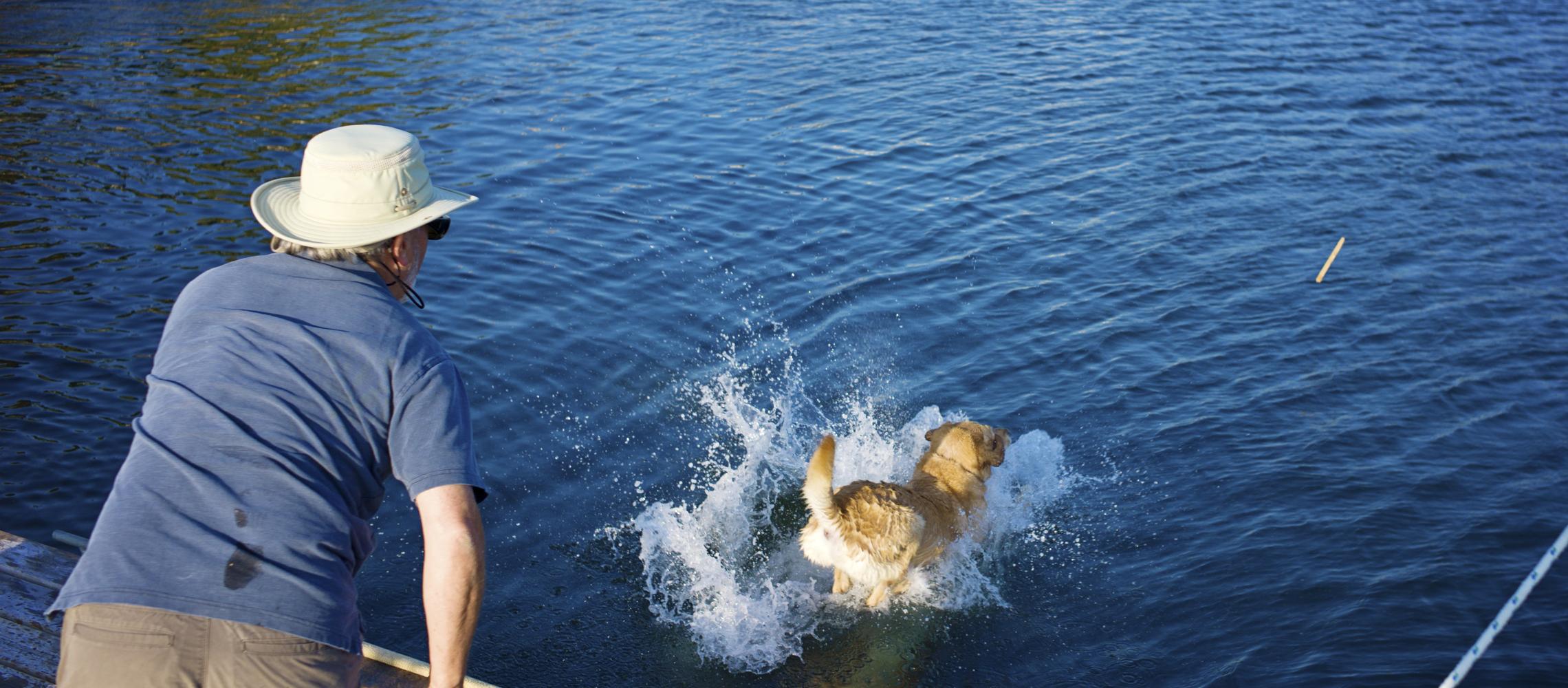 Dog Friendly Mahone Bay, NS