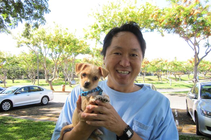 Pet Friendly Dog Training Honolulu