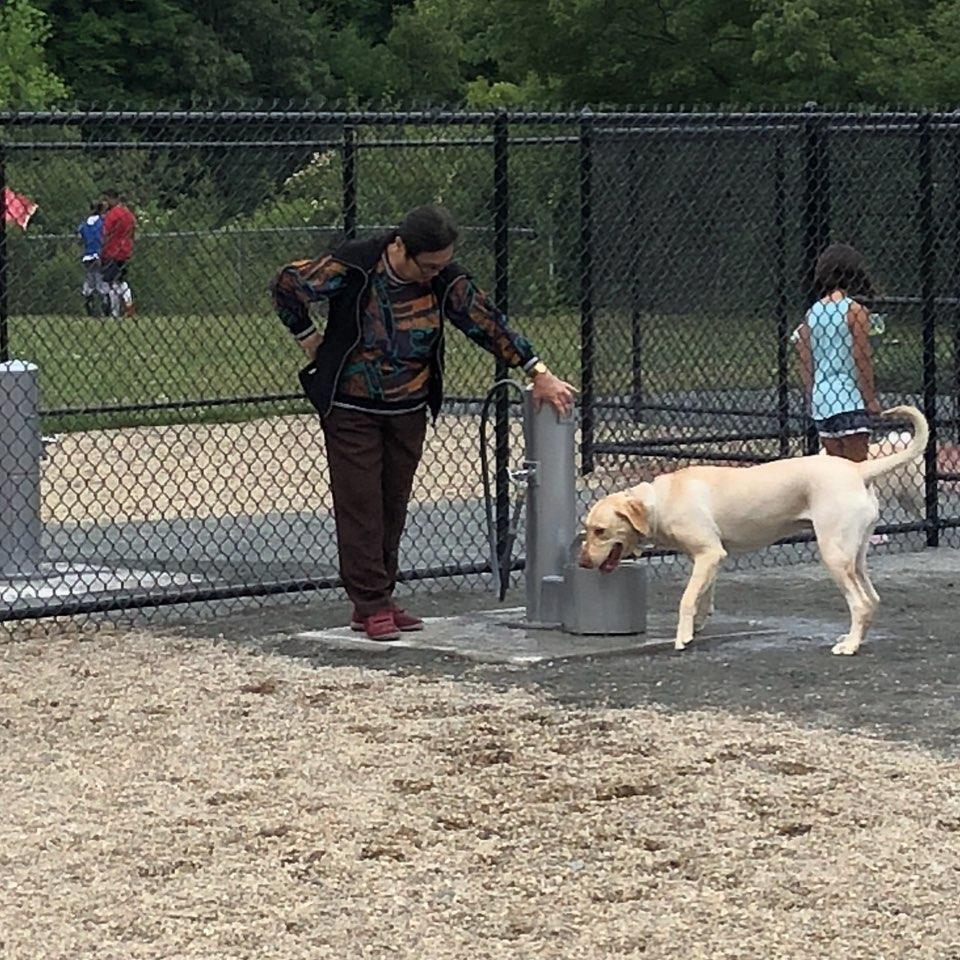 Burlington dog park ⋆ BringFido