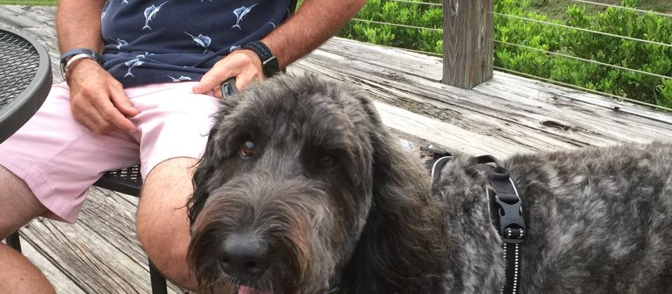 Dog Friendly Anniston, AL