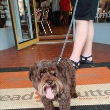 Bread and Butter Bakery restaurant view 2