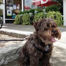 Your Pie restaurant view 4