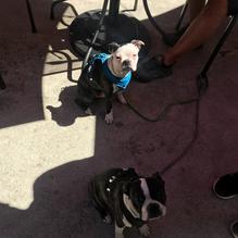 The Service Station restaurant view 2