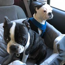 The Service Station restaurant view 1