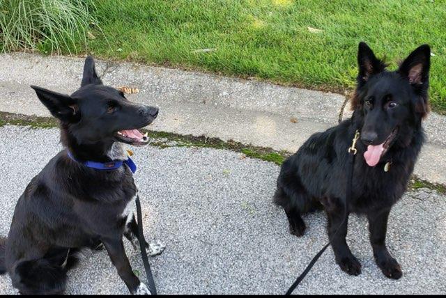 Sasha and Edgar!