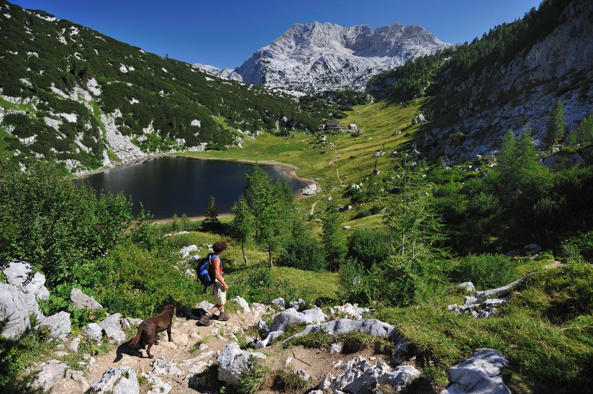 Senior Woman with Labrador Dog Hiking in the Austrian Alps