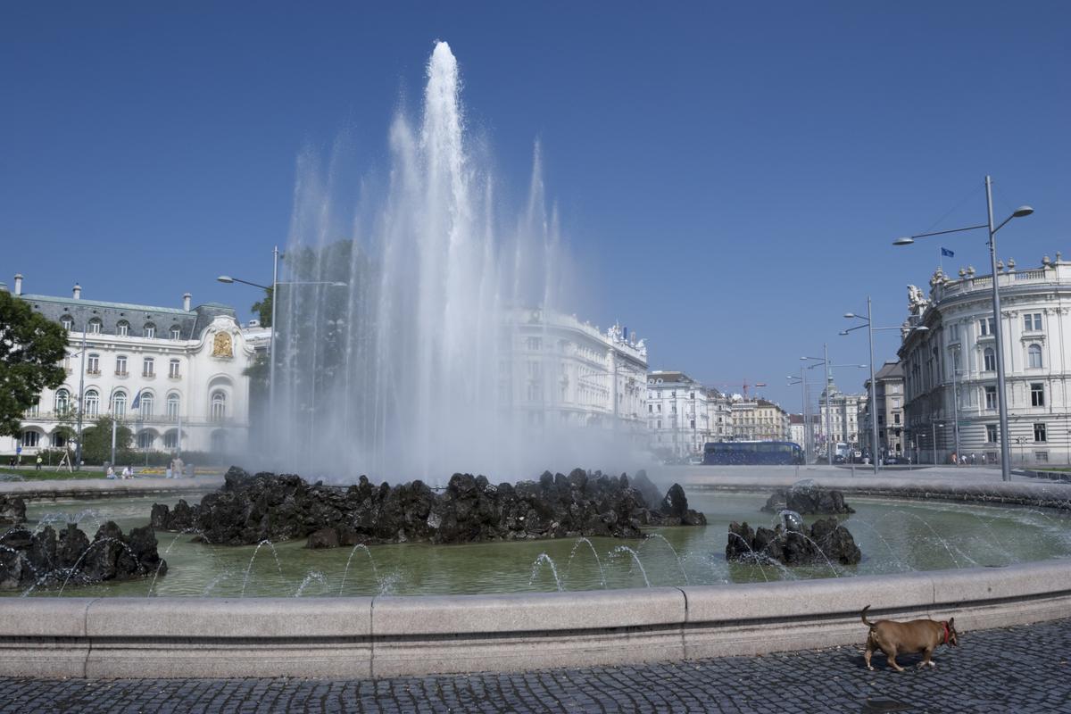Dog walking by Vienna Fountain Downtown