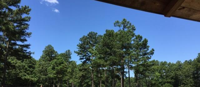 Dog Friendly Dacula, GA