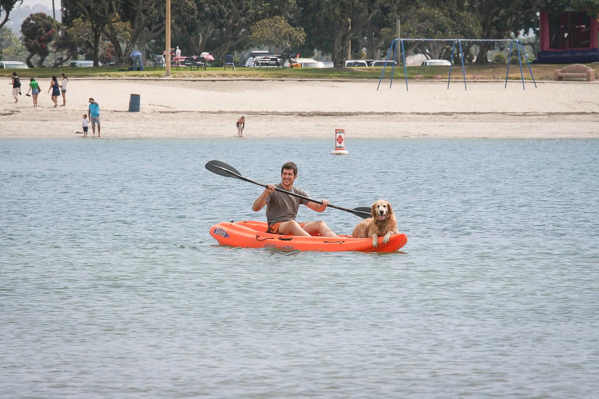 Kayaking with a Dog