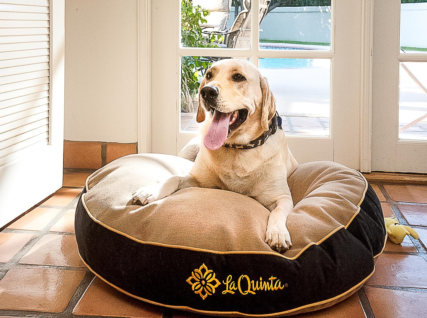 Dog Friendly La Quinta Ca Bring Fido