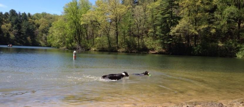 Dog Friendly Dodgeville, WI