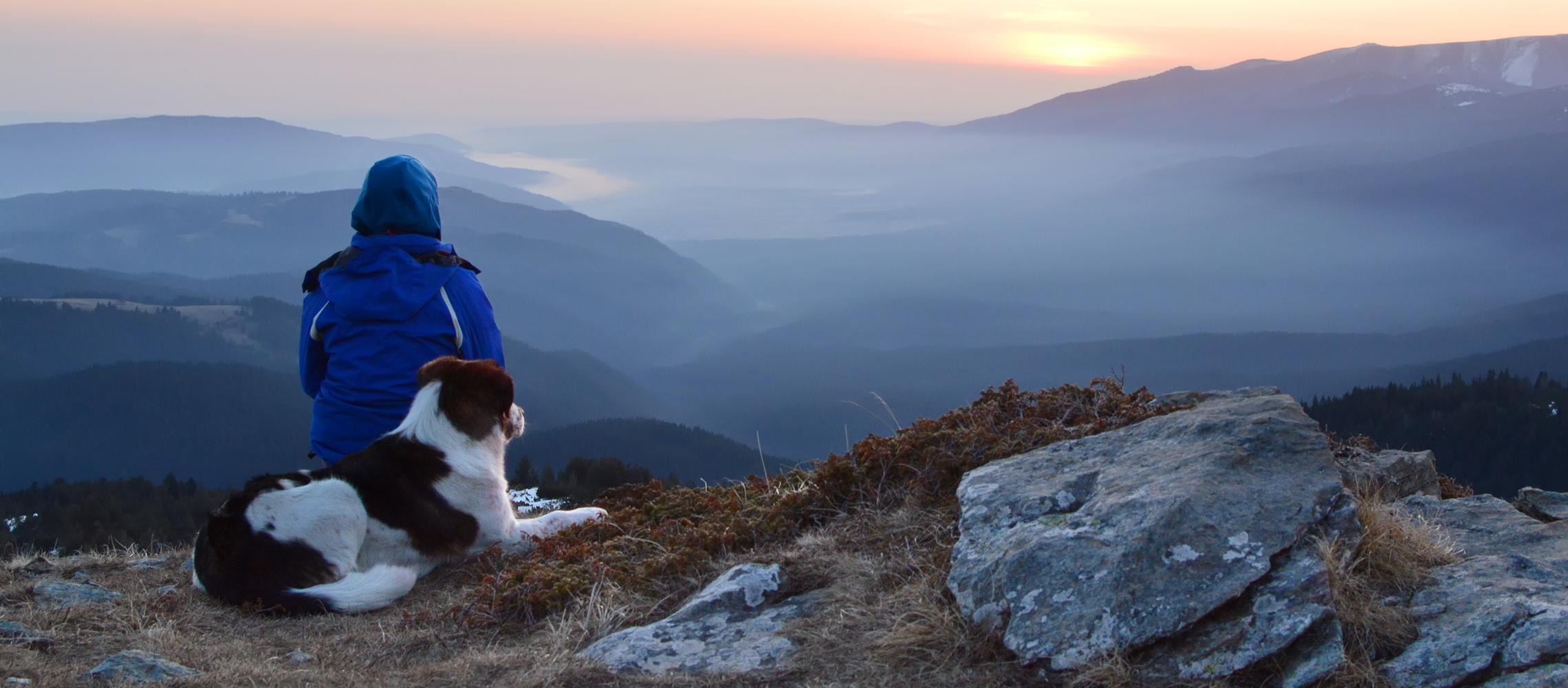 Dog Friendly Bulgaria