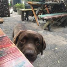 Mash'D restaurant view 2