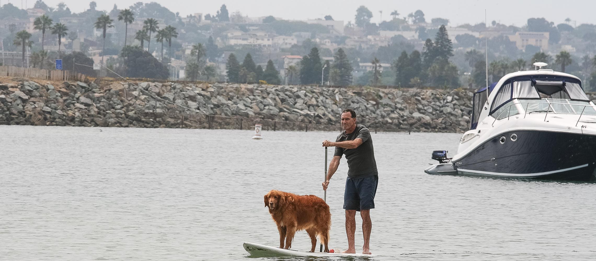 Dog Friendly Mission Bay, CA