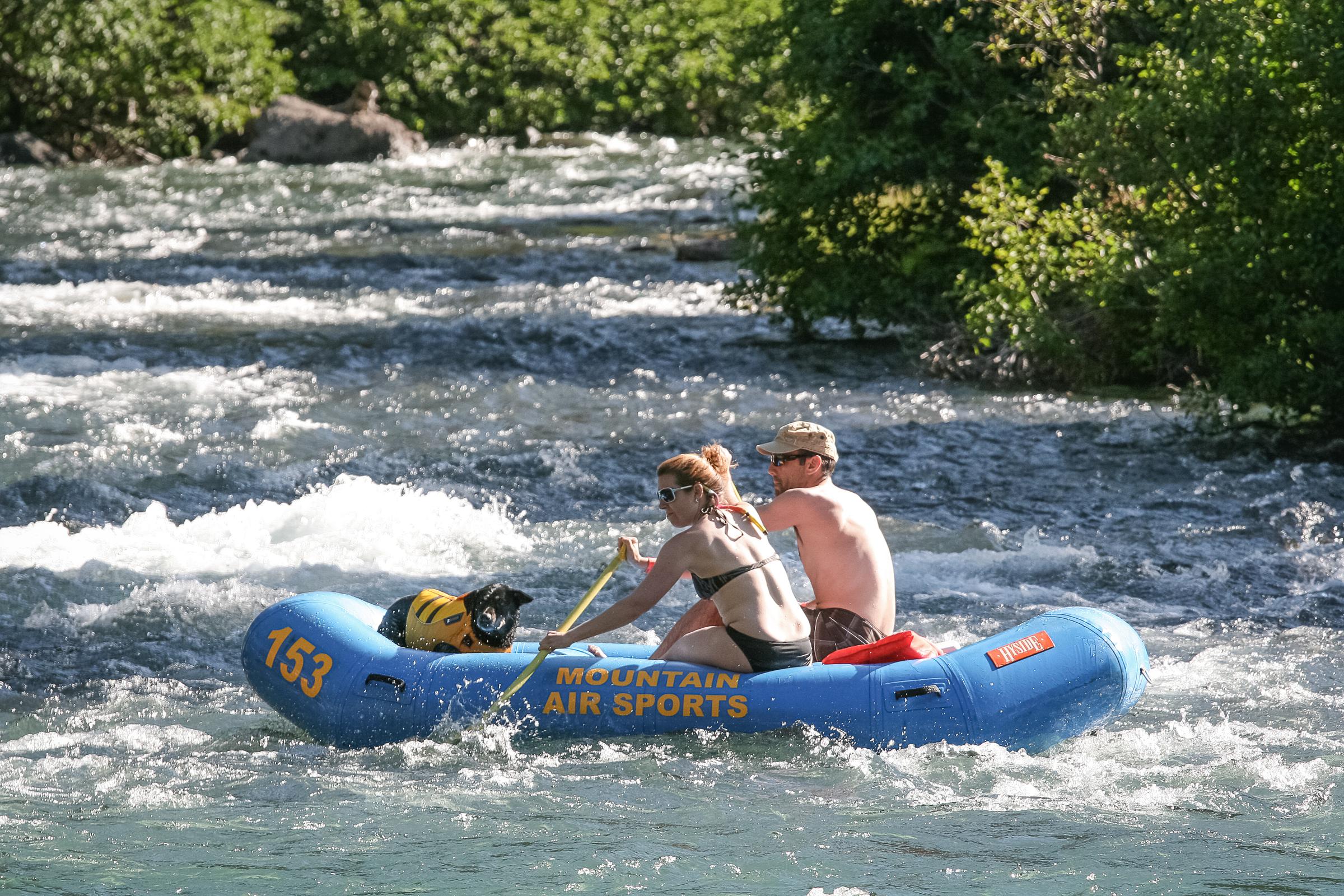 Dog Rafting on the Truckee River ⋆ BringFido