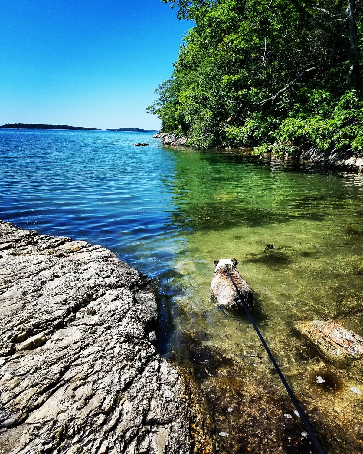 Wolfe's Neck Woods State Park