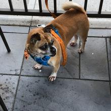 Smashburger restaurant view 3