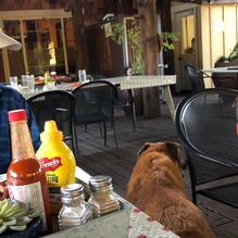 Dine n Dash Pub & Grill restaurant view 7