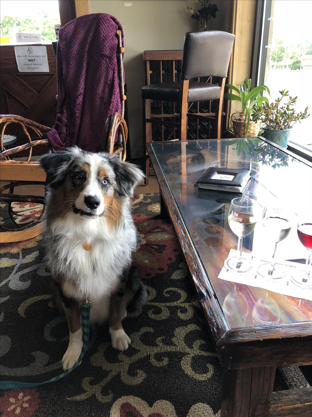 The Bottle Shop restaurant view 4